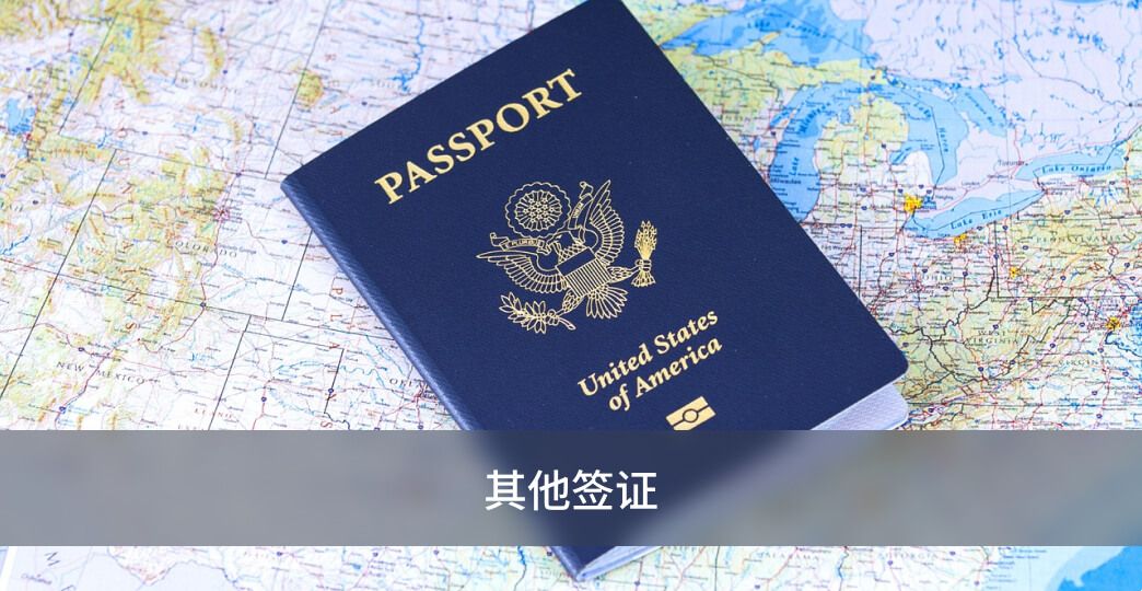 其他签证